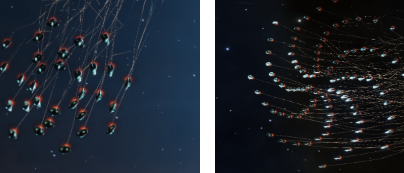 embeddedimage_(4).png